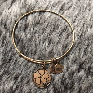 Alex and Ani Friend Bangle